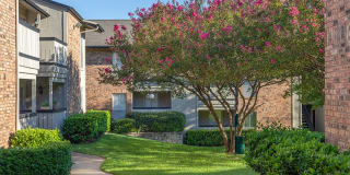 Village Meadow Gallery 8