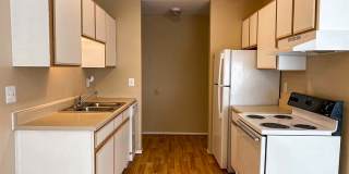 Rochester Square Gallery 37