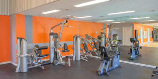 The Enclave At Arlington Gallery 25