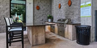 Agave 350 Gallery 38