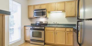 Ash Tree - Student Housing Gallery 2