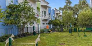 The Nolen Luxury Apartments The Nolen Luxury Apartments Gallery 8