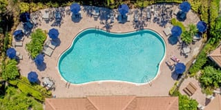 Portofino Landings Gallery 6