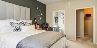 Sola Westchase Gallery 2