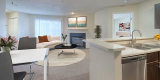 Bluesky Landing Apartments Gallery 9