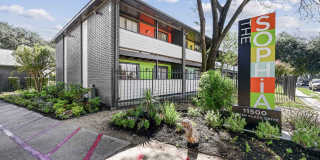 The Sophia Gallery 4