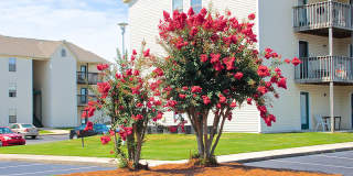 Timber Woods Gallery 8