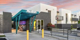 Avalon Gallery 22