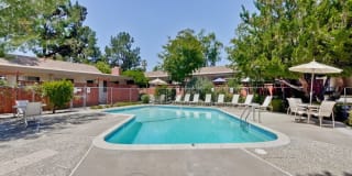 Cherry Blossom Apartments Gallery 4