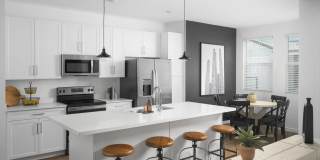 Banyan South Mountain Gallery 1