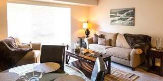 Dresden Forest Gallery 2