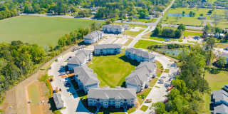 Exchange at Daphne Gallery 41