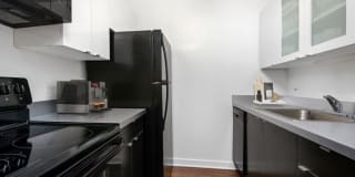 1111 North Dearborn Gallery 8