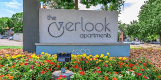 The Overlook Gallery 45