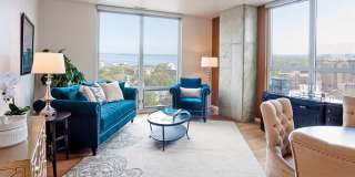 Ovation 309 Gallery 1