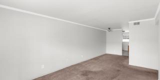South Hill HP Gallery 10