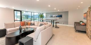 Orion Gallery 21