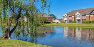 Central Park Gallery 12