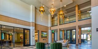 Alexan Park West Gallery 13