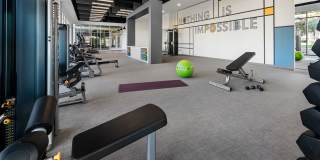 The Piedmont by Mark-Taylor Gallery 17