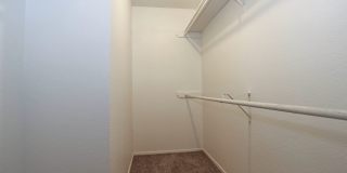 Woodland Trails Gallery 14