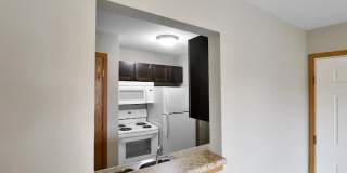 Sunset Woodland Gallery 5