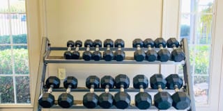 Lexington Place II Gallery 25