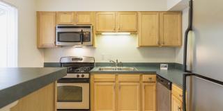 Ash Tree - Student Housing Gallery 1