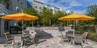 The Nolen Luxury Apartments The Nolen Luxury Apartments Gallery 4