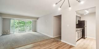 The Lake Shore Apartments Gallery 5