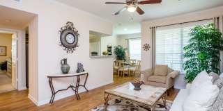 Stone Mist Gallery 10