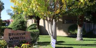Palm Garden Gallery 24