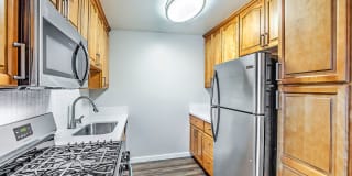 Pacific Pines Gallery 2