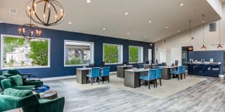 The Woodlands The Woodlands Gallery 8