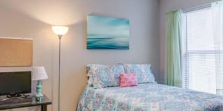 Yugo Tallahassee Catalyst Gallery 23