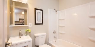 Solis Garden Gallery 9