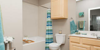 Lexington Place III Gallery 17