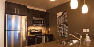 Ovation 309 Gallery 1