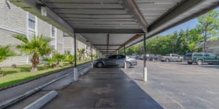 Pelicans Landing Gallery 28