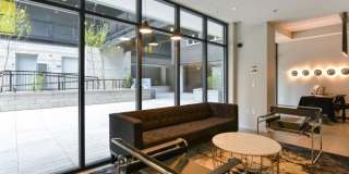 The Colonel Gallery 15