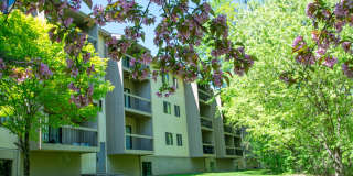 Hunters Ridge Gallery 5