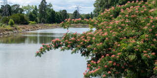 Copperfield Apartments Gallery 16