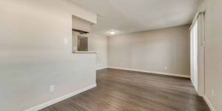 The Sophia Gallery 17