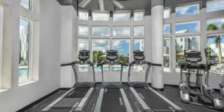 The Nolen Luxury Apartments The Nolen Luxury Apartments Gallery 5