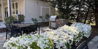 The Willows Gallery 7