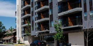 The Zenith Gallery 8