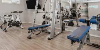 TerraLane on Cotton Gallery 8