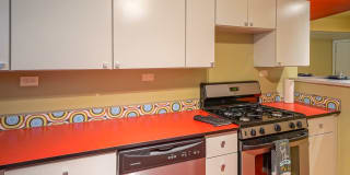 THE Q AT VASSAR Gallery 1