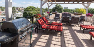 Winchester & Browning Gallery 9