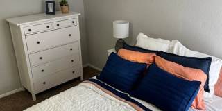 The Element Apartments Gallery 13